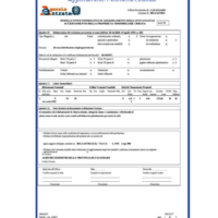 DOCFA-AGGIORNAMENTO-PLANIMETRIA-CATASTALE-PRATICHE-CASA-BORDO-BIANCO-1080X1080.png