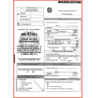 COPIA-DOMANDA-SANATORIA-ACCESSO-ATTI-COMUNE-